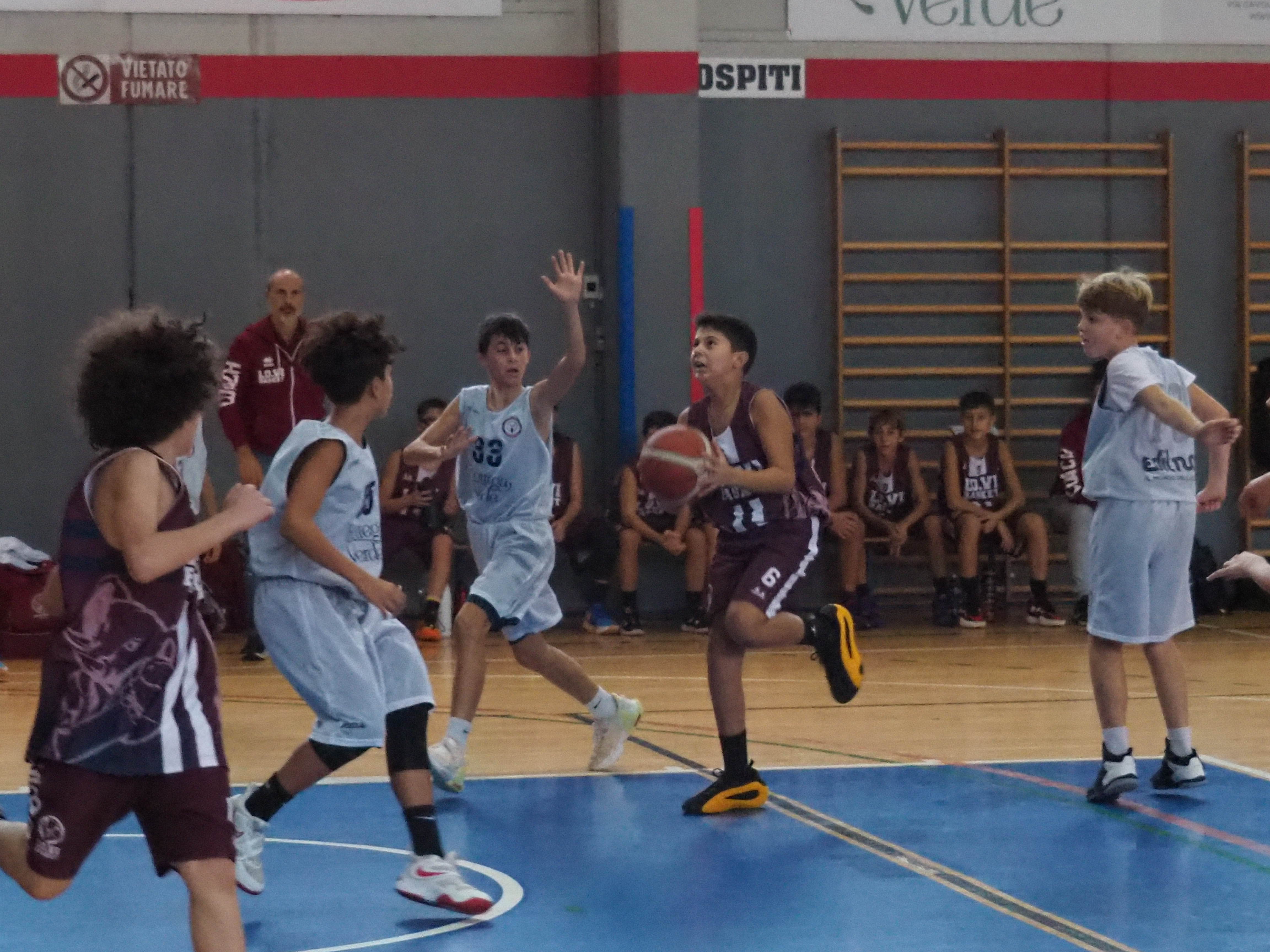 A.S.D. BIELLA NEXT - LO.VI BASKET